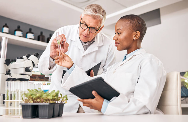 Scientist, test tube and teamwork for plants, agriculture solution and problem solving in laboratory research. Science mentor and student training on digital tablet for growth, leaf or sustainability. - Photo, Image