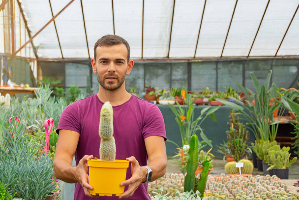 The guy swarthy gardener holds a pot with a fluffy hairy cactus grown in a greenhouse - Фото, зображення