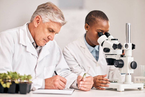 Science, microscope and sample with a medical team in the laboratory for biochemistry or sustainability. Research, agriculture or growth with a man and woman scientist in a lab for innovation. - Photo, Image