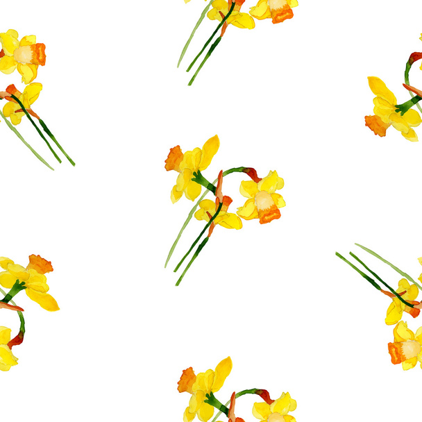 Narciso de primavera
 - Vector, imagen