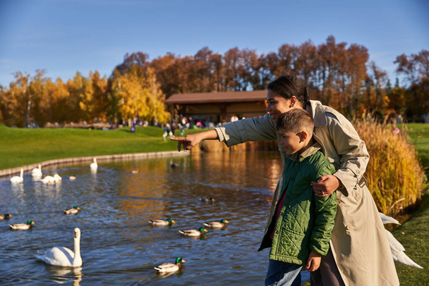 bonding, happy african american woman pointing with finger at swans in pond, mother and son, smile - Photo, Image