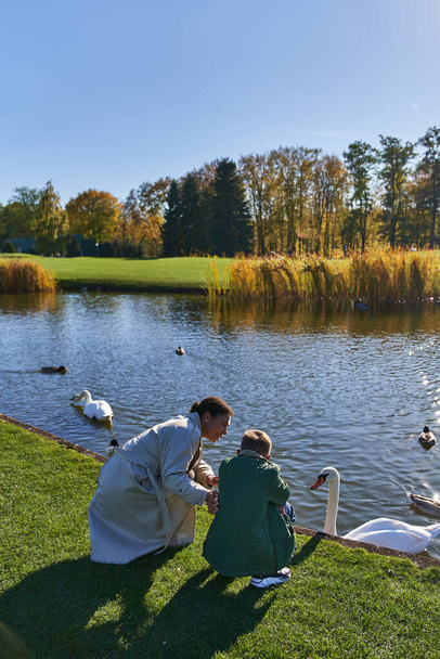 automne, femme afro-américaine et garçon regardant le lac avec des canards et des cygnes, enfance, joie - Photo, image