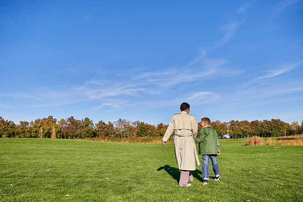 mère et fils, femme afro-américaine marchant avec garçon dans le parc, franche, journée ensoleillée, automne - Photo, image
