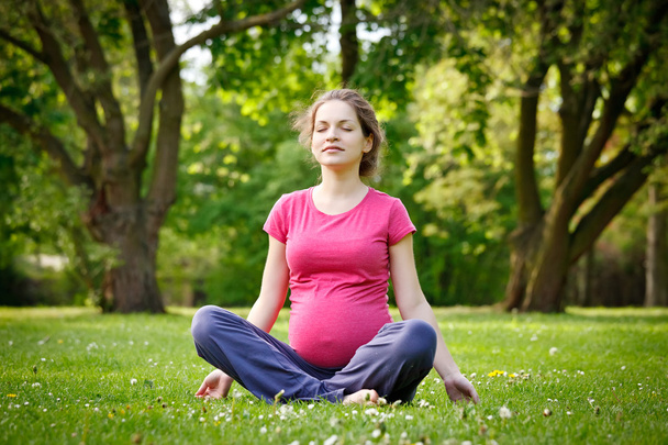 Beautiful pregnant woman in the park - Photo, Image