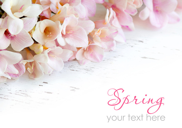 roze fresia's bloemen  - Foto, afbeelding