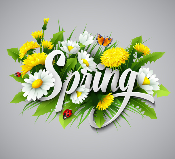Verse lente achtergrond met paardebloemen en madeliefjes - Vector, afbeelding