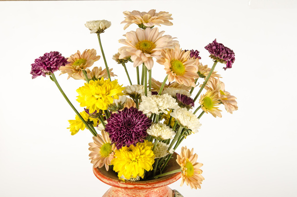 çiçek arkaplanı - Fotoğraf, Görsel