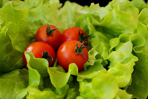 Salad and tomatoes - Photo, Image