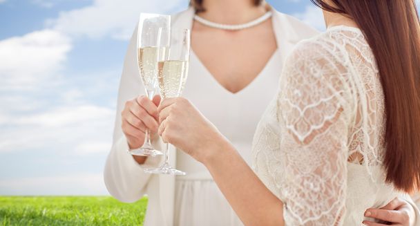 lesbian couple with champagne glasses - Foto, Imagen