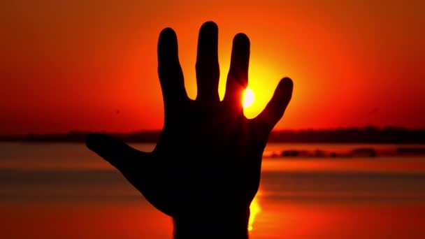 Silhouet van een hand tegen de achtergrond van een zonsondergang. Mans hand in de buurt van het water bij zonsondergang. Dromerig silhouet tegen een oranje hemel met een grote zittende zon. - Video