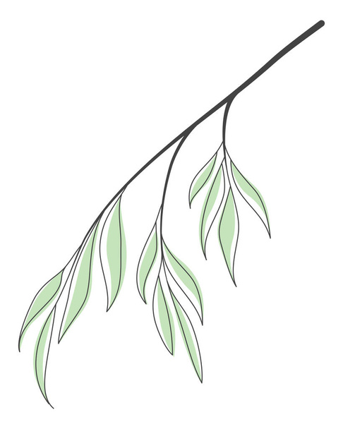 Αφηρημένα πράσινα φύλλα απομονωμένα σε λευκό, διάνυσμα περίγραμμα. - Διάνυσμα, εικόνα