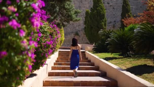 Rückansicht des Mädchens im weißen Kleid spaziert in der Nähe der Blumensträucher im Reiseziel. Hochwertiges 4k Filmmaterial - Filmmaterial, Video