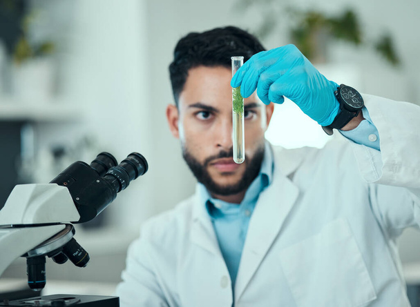 Science, man and analysis of test tube plant, biotechnology product and check natural sample for botany development. Lab experiment, investigation or male scientist focus on organic growth inspection. - Photo, Image