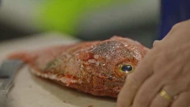 A séf megtisztít egy vörös halat a pikkelyektől. Középső felvétel - Felvétel, videó