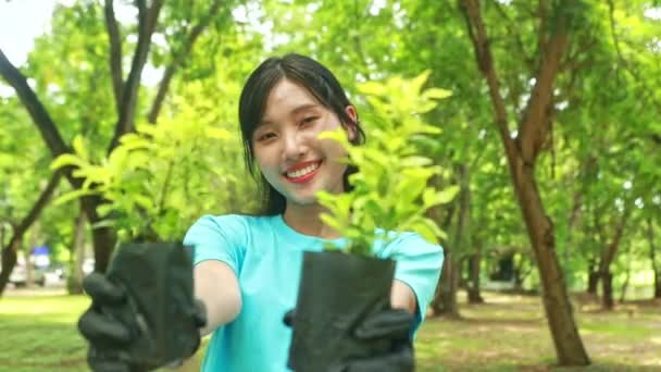 Молодая милая азиатская молодая женщина добровольно сажает деревья защищая окружающую среду пустое пространство в саду добавляя зелени показывая саженцы дерева держа счастливую улыбку глядя на камеру. - Кадры, видео