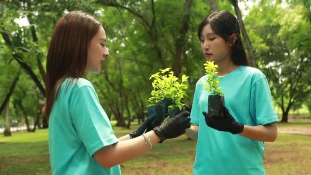 Jóvenes alumnas voluntarias asiáticas de ecología y medio ambiente sostienen juntos plantones haciendo actividad recreativa forestación mostrando árboles felices mirando a la cámara. - Metraje, vídeo