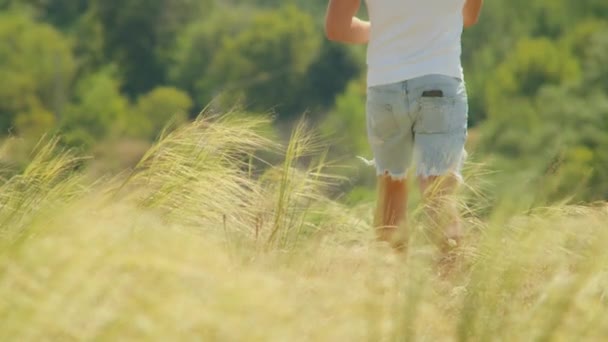 Unter der warmen Umarmung der Sonnen hebt ein Mann auf einem Feld die Arme und umarmt den unbeschwerten Geist des Sommers und der Landschaft. - Filmmaterial, Video