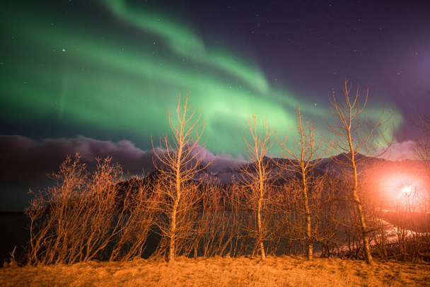 Το όμορφο Βόρειο Σέλας πάνω από το νυχτερινό ουρανό στην Ισλανδία. - Φωτογραφία, εικόνα