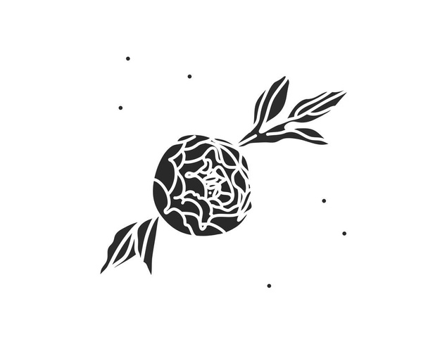 Hand drawn vector abstract stock flat graphic illustration with logo element of line flower art,black silhouette of peony,isolated on white background.Sacred magic boho feminine concept - Vector, Image