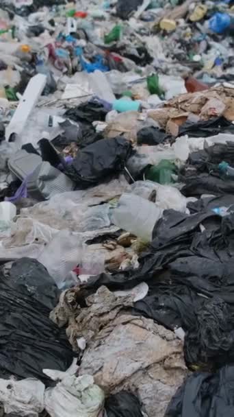 Sri Lanka, praias contaminadas com resíduos de plástico. O problema global dos resíduos de plástico no Oceano Índico. Vídeo vertical - Filmagem, Vídeo