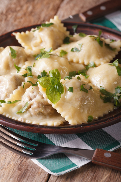 Hot ravioli closeup on a plate. vertical, rustic style - Photo, Image