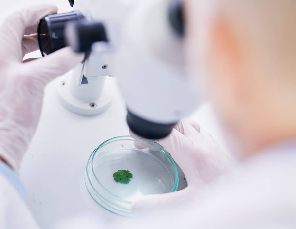 Leaf in petri dish, microscope and scientist with analysis, liquid solution and environment science with medical research. Investigation, review and agriculture, person check plant sample in lab. - Photo, Image