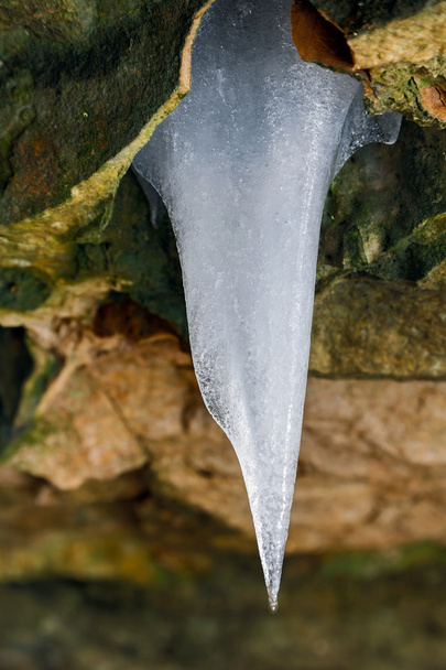 Jääpuikko jäillä
 - Valokuva, kuva