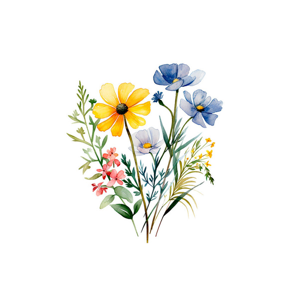 Suluboya buket kır çiçeği. El çizimi illüstrasyon. - Fotoğraf, Görsel