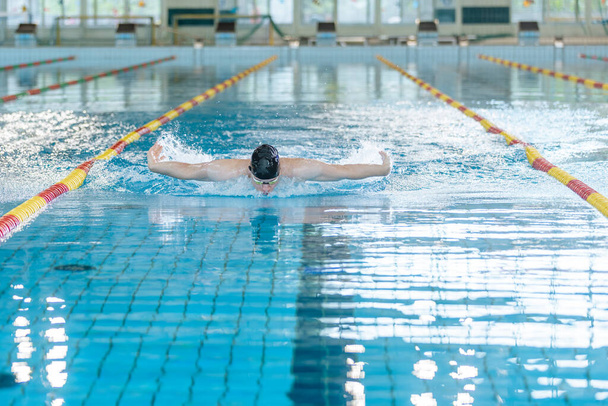 Professional male swimmer performing butterfly style in the indoor lap pool lane, front view. Success, motivation, and effort concept. - Photo, Image