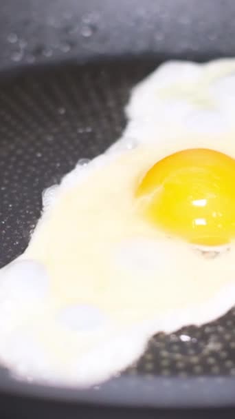 O ovo frita-se em uma panela no óleo aquecido. Pequeno-almoço saudável. Vídeo vertical - Filmagem, Vídeo