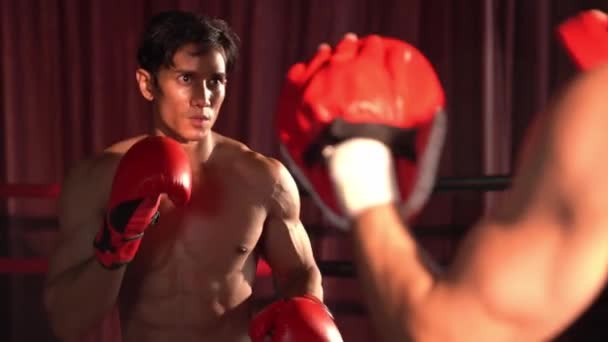 Azjatycki i kaukaski bokser Muay Thai uwalnia cios w zaciętej sesji treningowej boksu, dostarczając cios bokserski sparingowi trenerowi, pokazując technikę i umiejętności boksu Muay Thai. Impetus - Materiał filmowy, wideo