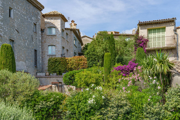 Beautiful, green and very dense plants, decorating the gardens between the old buildings. - Photo, Image