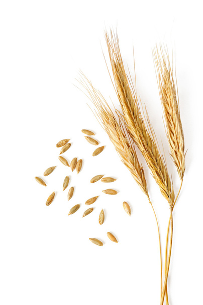 spikelets and grains of wheat on a white background - Photo, Image