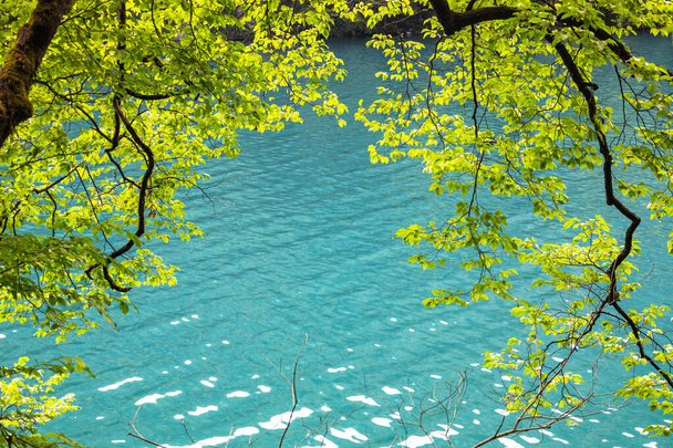 Schöne Sommer Hintergrund mit grünen Bäumen in der Nähe des blauen Wassers in der Nähe des Sees, Sommer hellen Hintergrund - Foto, Bild