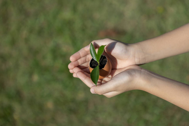 Les enfants tenant à la main une coquille d'oeuf réputée transformée en pot d'engrais, symbolisant l'engagement à nourrir et à cultiver des pousses ou des plantes en tant que gouvernance sociale environnementale pour les générations futures. Pneumatique - Photo, image