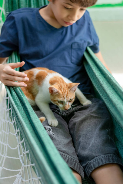 Boy inside a hammock with his pet cat petting him. Love for animals. Domestic cat. - Photo, Image
