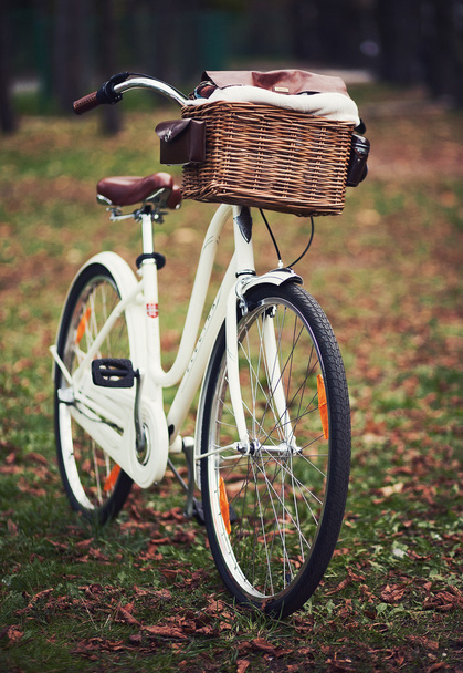 Vélo rétro dans le parc
 - Photo, image