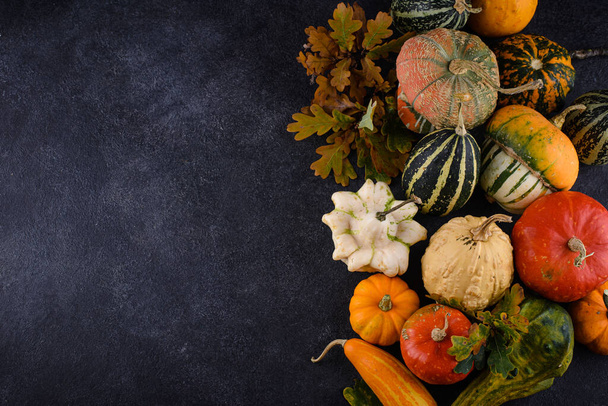Verschiedene dekorative Kürbisse und trockene Blätter. Herbsterntekonzept - Foto, Bild