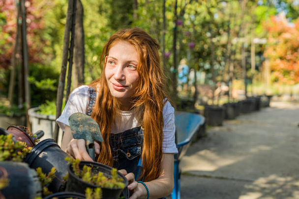 Ginger florist with slight smile on her face taking care of her plants - Photo, Image