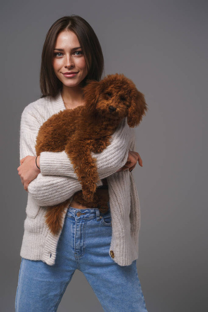 Charming girl in a white sweater holding her beloved brown toy poodle against a gray studio backdrop - Foto, Imagen