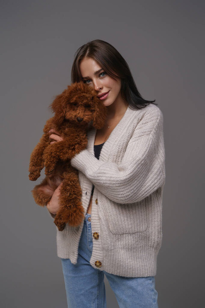 Encantadora chica en un suéter blanco sosteniendo su adorado caniche de juguete marrón contra un fondo de estudio gris - Foto, Imagen