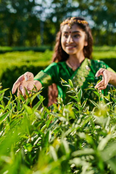 усміхнена молода і розмита індійська жінка торкається зелених кущів в парку влітку - Фото, зображення