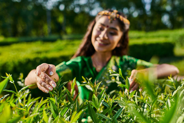 cheerful young indian woman in traditional sari touching green bushes in park - Photo, Image