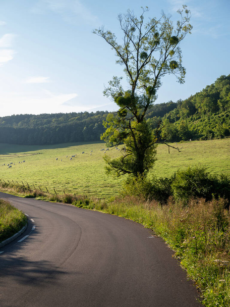 сільський пейзаж з дорогою біля вердена на півночі Франції - Фото, зображення