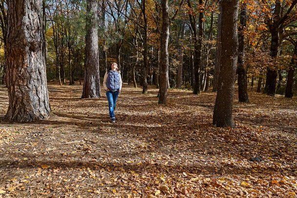 Middle aged woman walking in autumn forest. Spending time in fall nature for exercise and fitness for wellness and healthy lifestyle. Freedom and unity with nature. - Photo, Image