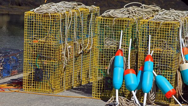 homár kalitka buoys3 - Fotó, kép