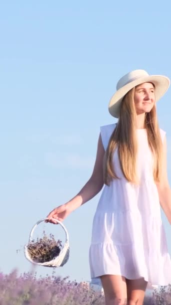 Piękny film smukłej młodej kobiety w białej, chodzącej lawendzie przeciwko pięknemu błękitnemu niebu. Strzelanina w Prowansji. Zdjęcia reklamowe. Pionowe wideo - Materiał filmowy, wideo