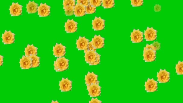 緑の背景を持つ花の雨のアニメーションビデオ. - 映像、動画