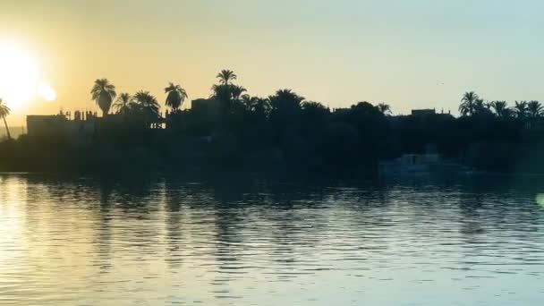 Napkelte derűs: Kis vitorlások és Riverside házak a Níluson. Kiváló minőségű 4k felvétel. Bask a nyugodt varázsa a Nílus folyó naplementekor, ahol a kis vitorlások békésen siklik végig a - Felvétel, videó