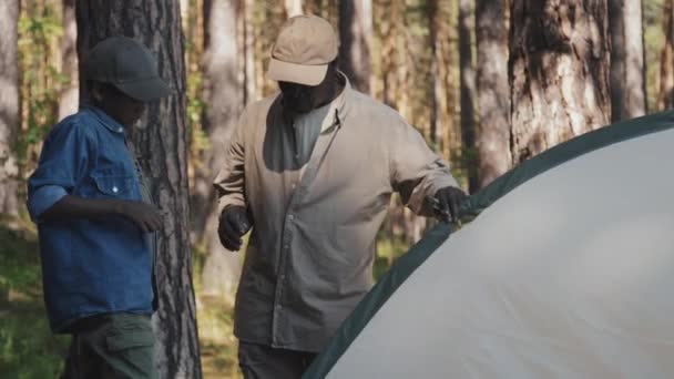 Активный старший чернокожий и его внук устанавливают палатку, ставя ее на землю в горном лесу. - Кадры, видео